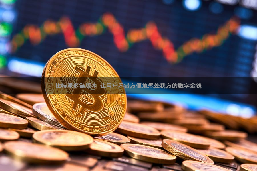比特派多链版本  让用户不错方便地惩处我方的数字金钱