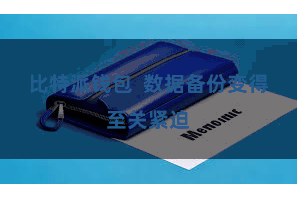 比特派钱包  数据备份变得至关紧迫
