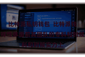 比特派私钥钱包  比特派钱包的安祥性体面前其团队的专科和时候实力上