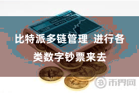 比特派多链管理  进行各类数字钞票来去