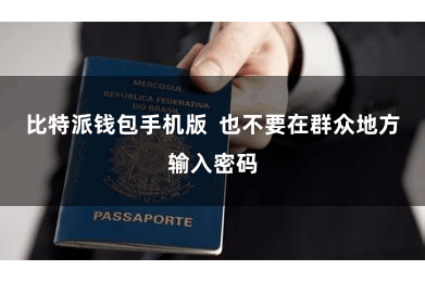 比特派钱包手机版  也不要在群众地方输入密码