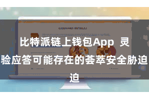 比特派链上钱包App  灵验应答可能存在的荟萃安全胁迫
